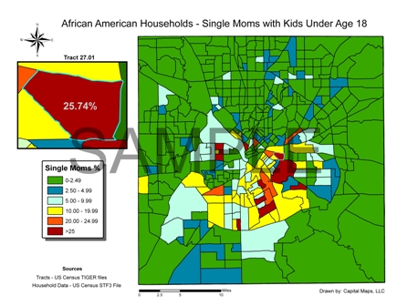 Single Mother Demographic